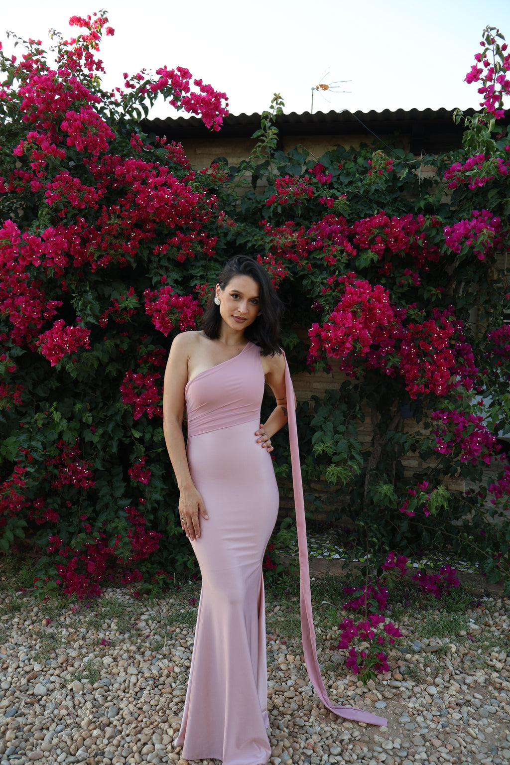 Vestido  Monique Rosa