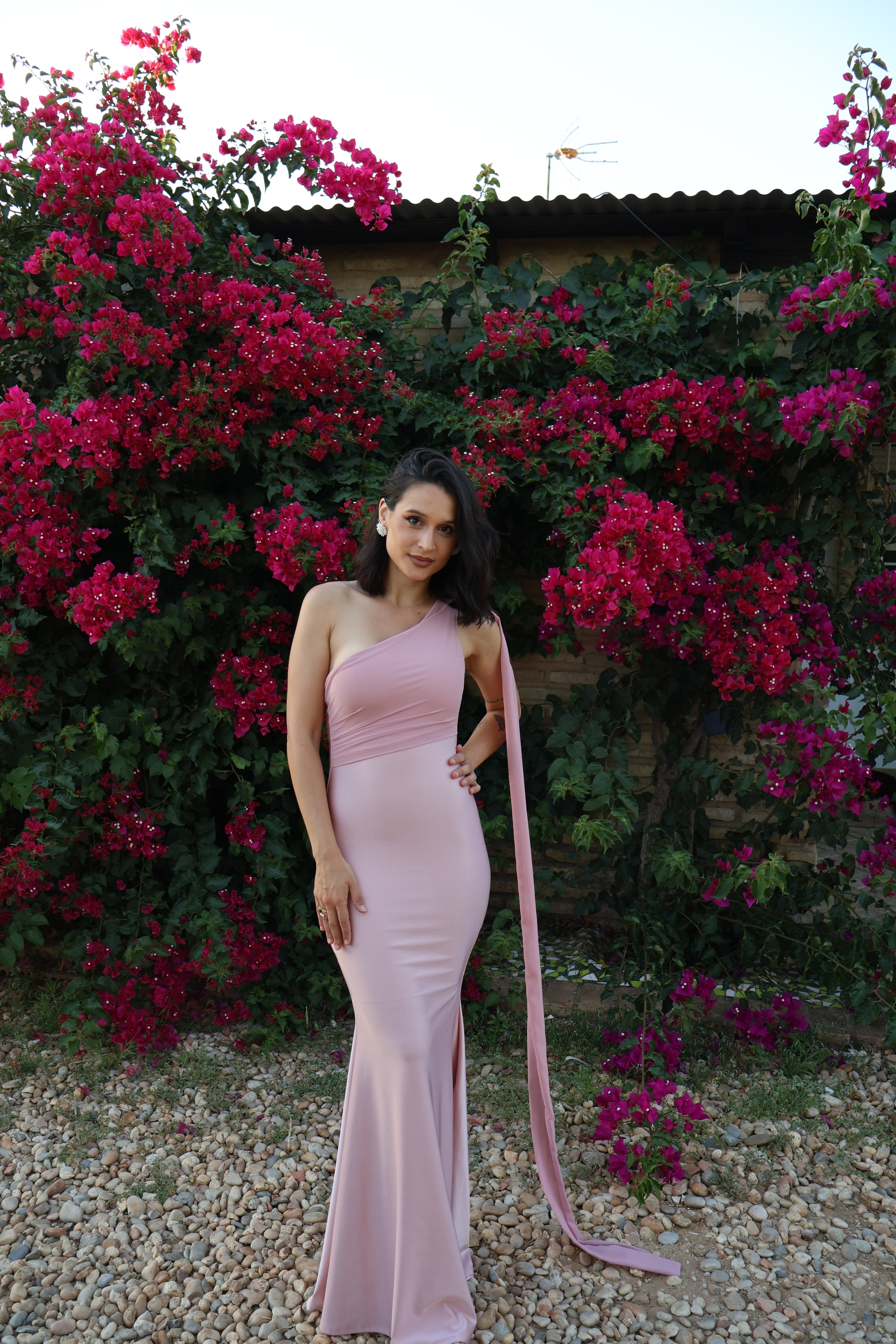Vestido  Monique Rosa