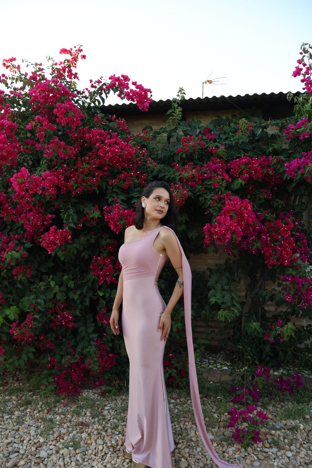 Vestido  Monique Rosa