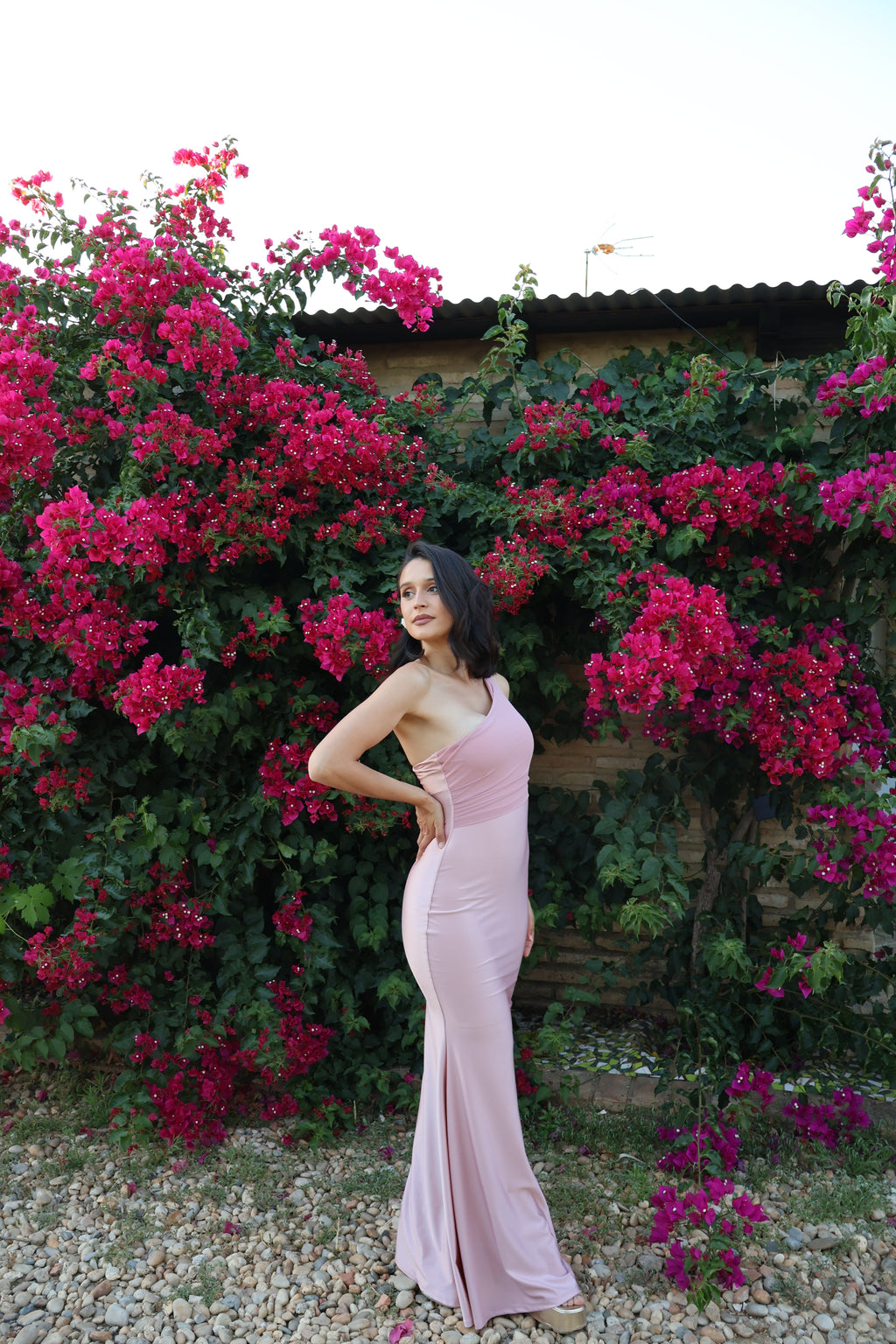 Vestido  Monique Rosa