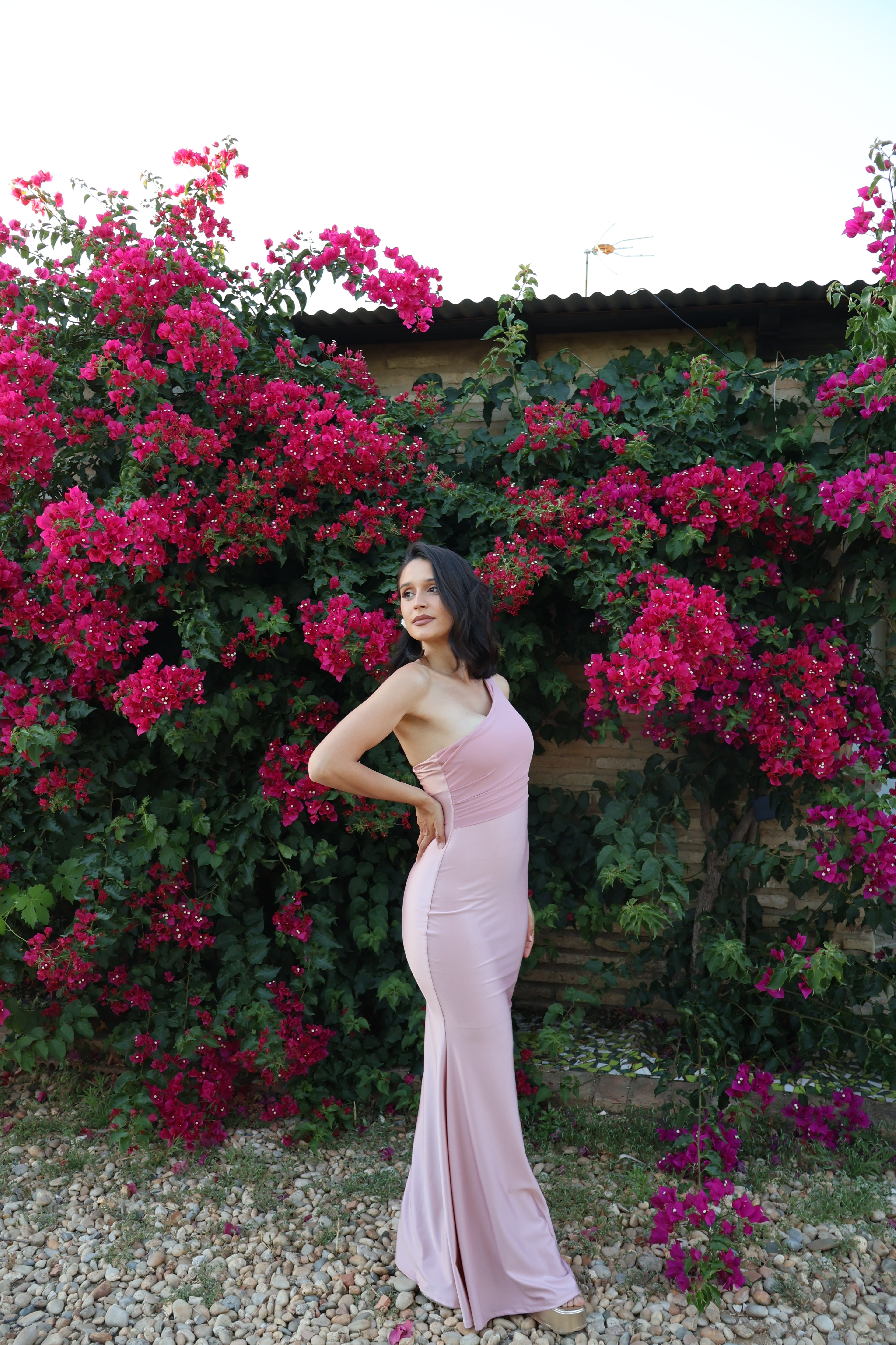 Vestido  Monique Rosa