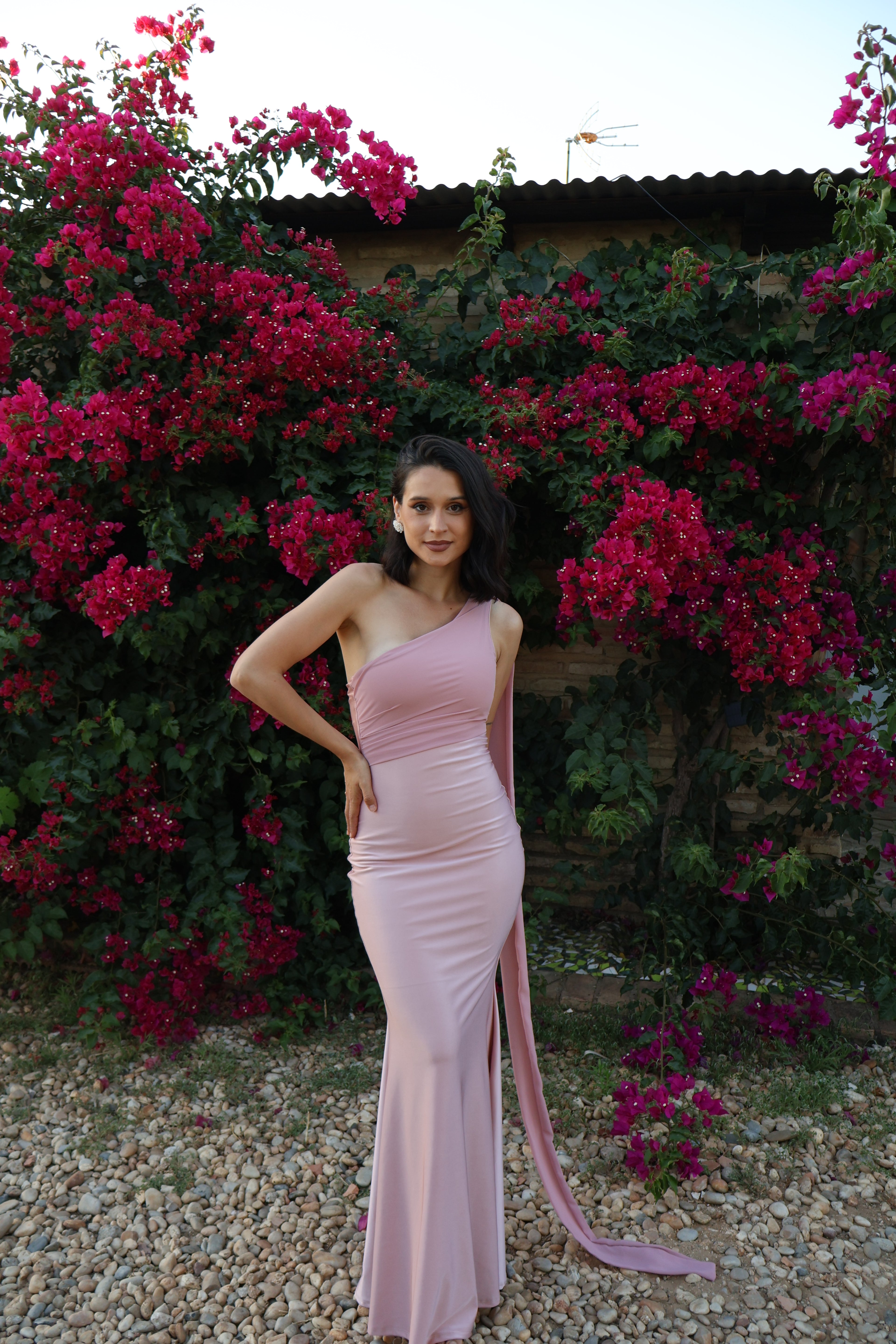Vestido  Monique Rosa