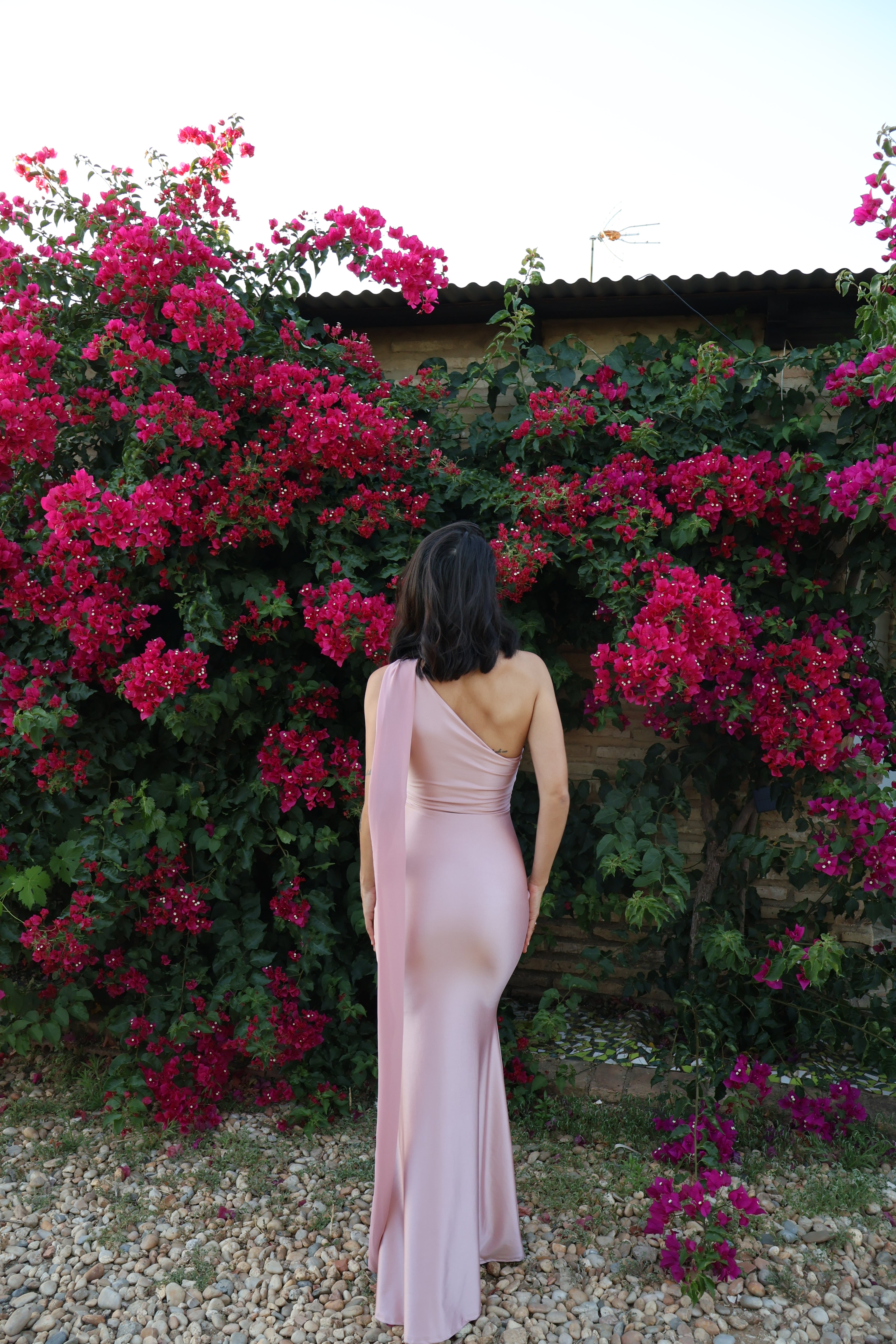 Vestido  Monique Rosa